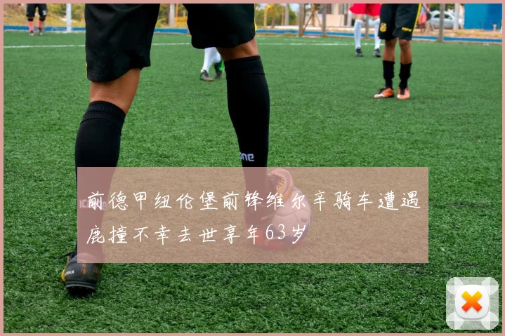 前德甲纽伦堡前锋维尔辛骑车遭遇鹿撞不幸去世享年63岁