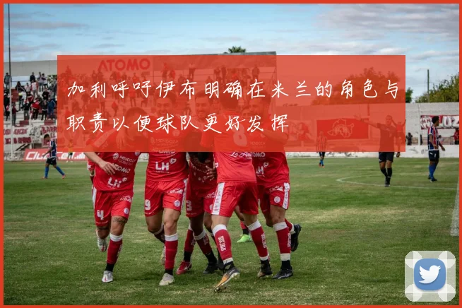 加利呼吁伊布明确在米兰的角色与职责以便球队更好发挥